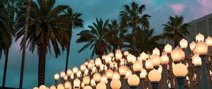 Preview wallpaper palm trees, lights, sky, twilight, clouds