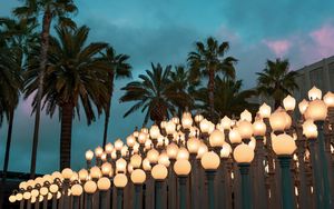 Preview wallpaper palm trees, lights, sky, twilight, clouds