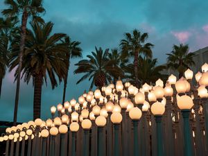 Preview wallpaper palm trees, lights, sky, twilight, clouds