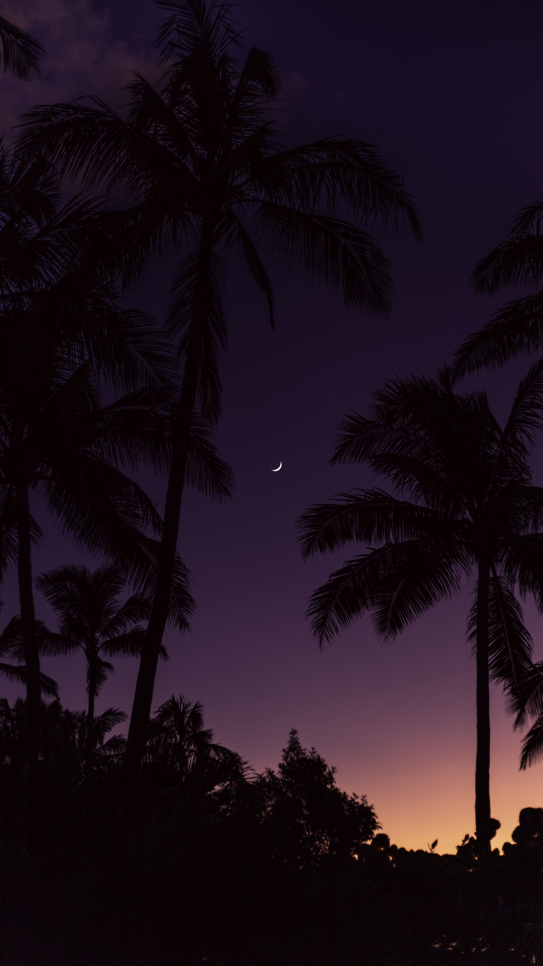 Download wallpaper 2160x3840 palm trees, moon, sunset samsung galaxy s4 ...