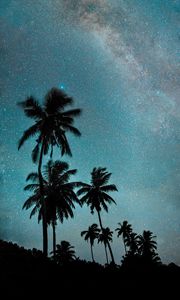 Preview wallpaper palm trees, night, starry sky, dark, milky way