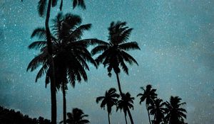 Preview wallpaper palm trees, night, starry sky, dark, milky way