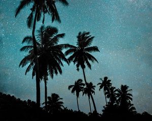 Preview wallpaper palm trees, night, starry sky, dark, milky way