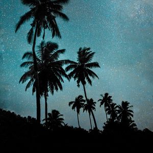 Preview wallpaper palm trees, night, starry sky, dark, milky way