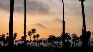 Preview wallpaper palm trees, night, sunset, tropics, sky