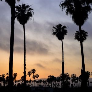 Preview wallpaper palm trees, night, sunset, tropics, sky