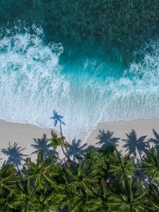 Preview wallpaper palm trees, ocean, aerial view, surf, wave, foam