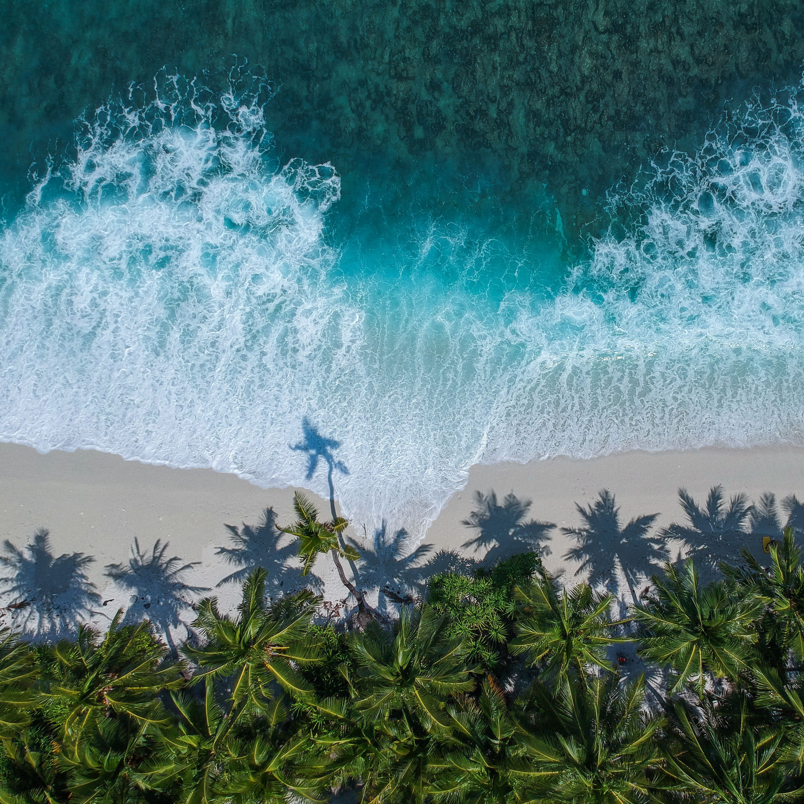 Download Wallpaper 2780x2780 Palm Trees Ocean Aerial View Surf Wave