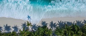 Preview wallpaper palm trees, ocean, aerial view, surf, wave, foam