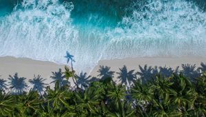 Preview wallpaper palm trees, ocean, aerial view, surf, wave, foam