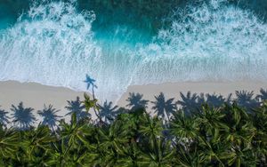 Preview wallpaper palm trees, ocean, aerial view, surf, wave, foam