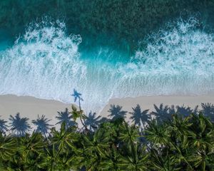 Preview wallpaper palm trees, ocean, aerial view, surf, wave, foam