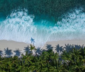 Preview wallpaper palm trees, ocean, aerial view, surf, wave, foam