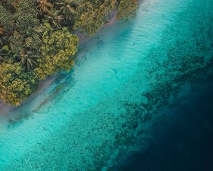 Preview wallpaper palm trees, ocean, aerial view, tropics, water