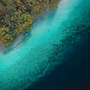 Preview wallpaper palm trees, ocean, aerial view, tropics, water