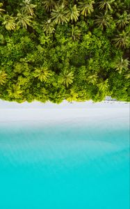 Preview wallpaper palm trees, ocean, aerial view, maldives, tropics, beach