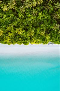 Preview wallpaper palm trees, ocean, aerial view, maldives, tropics, beach