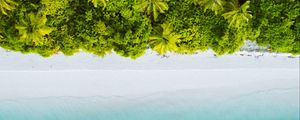 Preview wallpaper palm trees, ocean, aerial view, maldives, tropics, beach