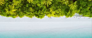 Preview wallpaper palm trees, ocean, aerial view, maldives, tropics, beach