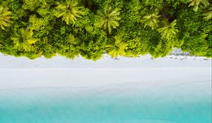 Preview wallpaper palm trees, ocean, aerial view, maldives, tropics, beach