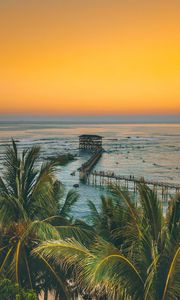 Preview wallpaper palm trees, ocean, sunset, pier, building