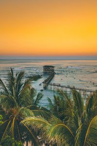 Preview wallpaper palm trees, ocean, sunset, pier, building