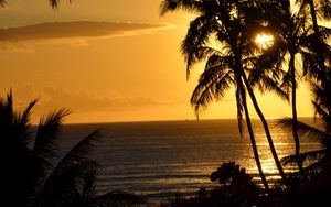 Preview wallpaper palm trees, ocean, sunset, dusk, dark