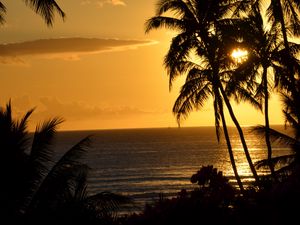 Preview wallpaper palm trees, ocean, sunset, dusk, dark