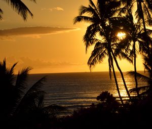 Preview wallpaper palm trees, ocean, sunset, dusk, dark
