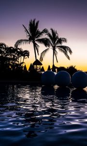 Preview wallpaper palm trees, pool, balls, silhouettes, twilight