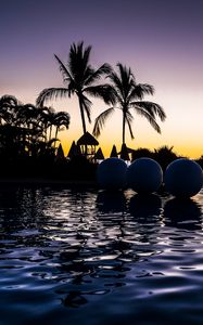 Preview wallpaper palm trees, pool, balls, silhouettes, twilight