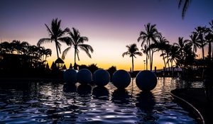 Preview wallpaper palm trees, pool, balls, silhouettes, twilight