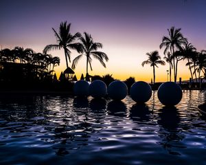 Preview wallpaper palm trees, pool, balls, silhouettes, twilight