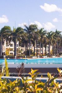 Preview wallpaper palm trees, pool, building, tropics, summer, vacation