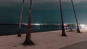 Preview wallpaper palm trees, promenade, beach, night, coast