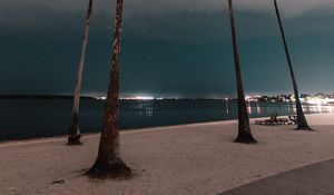 Preview wallpaper palm trees, promenade, beach, night, coast