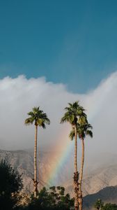 Preview wallpaper palm trees, rainbow, cloud, mountains, landscape