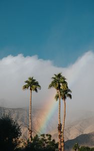 Preview wallpaper palm trees, rainbow, cloud, mountains, landscape