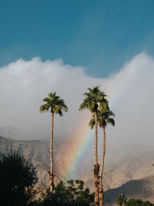 Preview wallpaper palm trees, rainbow, cloud, mountains, landscape