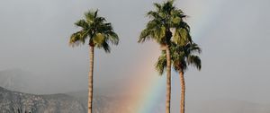 Preview wallpaper palm trees, rainbow, cloud, mountains, landscape