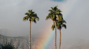 Preview wallpaper palm trees, rainbow, cloud, mountains, landscape