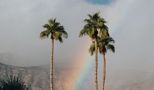 Preview wallpaper palm trees, rainbow, cloud, mountains, landscape