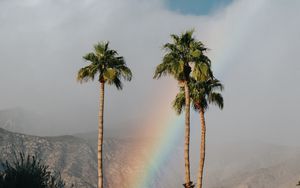 Preview wallpaper palm trees, rainbow, cloud, mountains, landscape