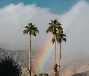 Preview wallpaper palm trees, rainbow, cloud, mountains, landscape