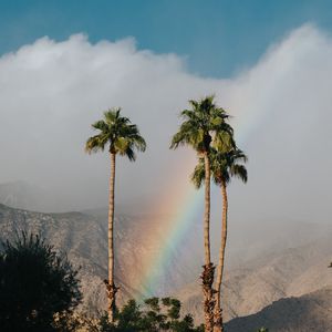 Preview wallpaper palm trees, rainbow, cloud, mountains, landscape