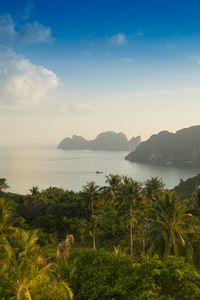 Preview wallpaper palm, trees, rocks, ocean