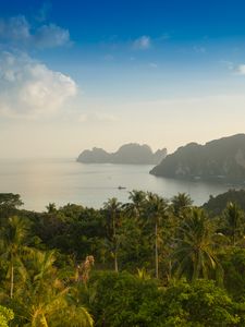 Preview wallpaper palm, trees, rocks, ocean