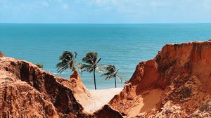 Preview wallpaper palm trees, rocks, sea, shore, summer, landscape