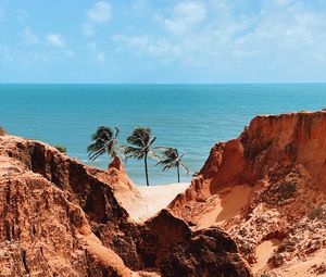 Preview wallpaper palm trees, rocks, sea, shore, summer, landscape