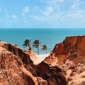 Preview wallpaper palm trees, rocks, sea, shore, summer, landscape